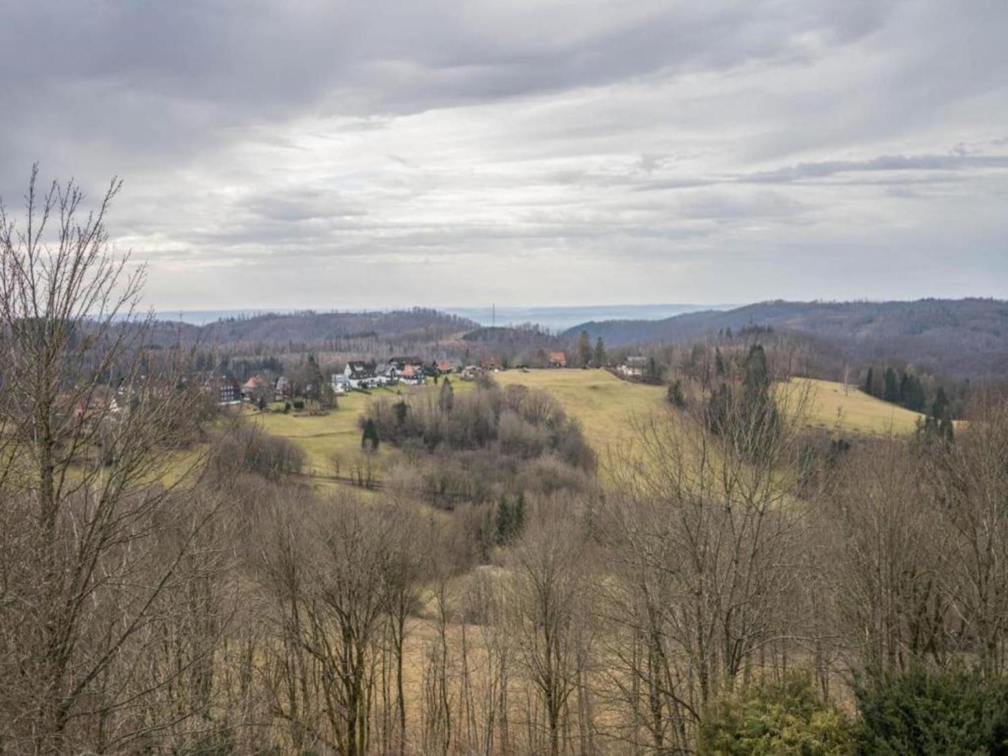 Cozy Apartment In Braunlage Near Forest Hohegeiß Buitenkant foto
