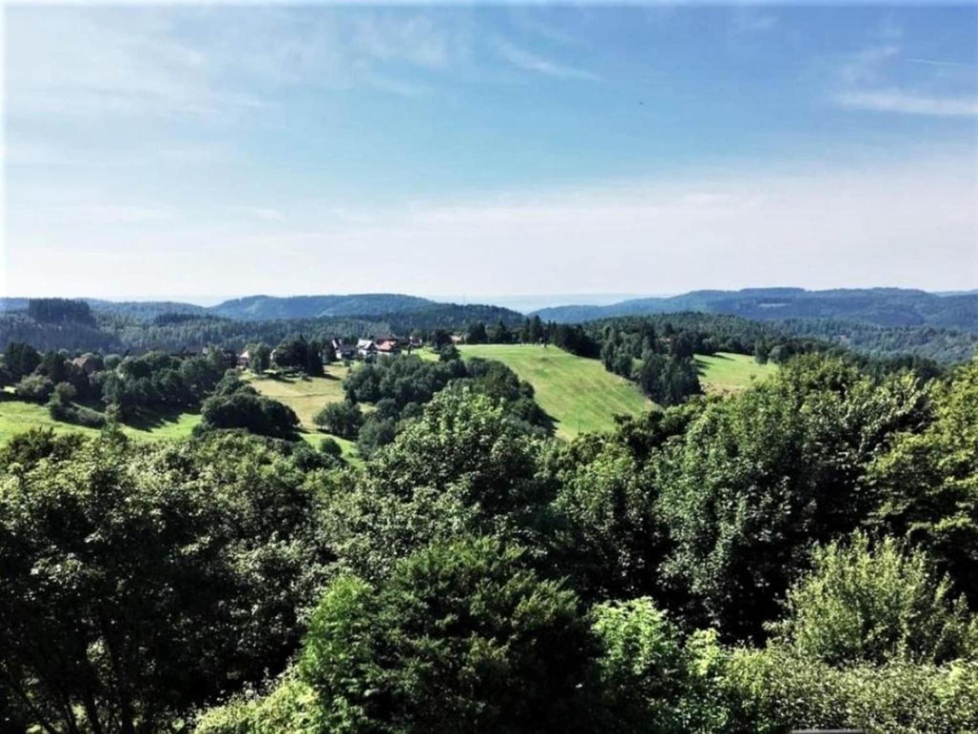 Cozy Apartment In Braunlage Near Forest Hohegeiß Buitenkant foto