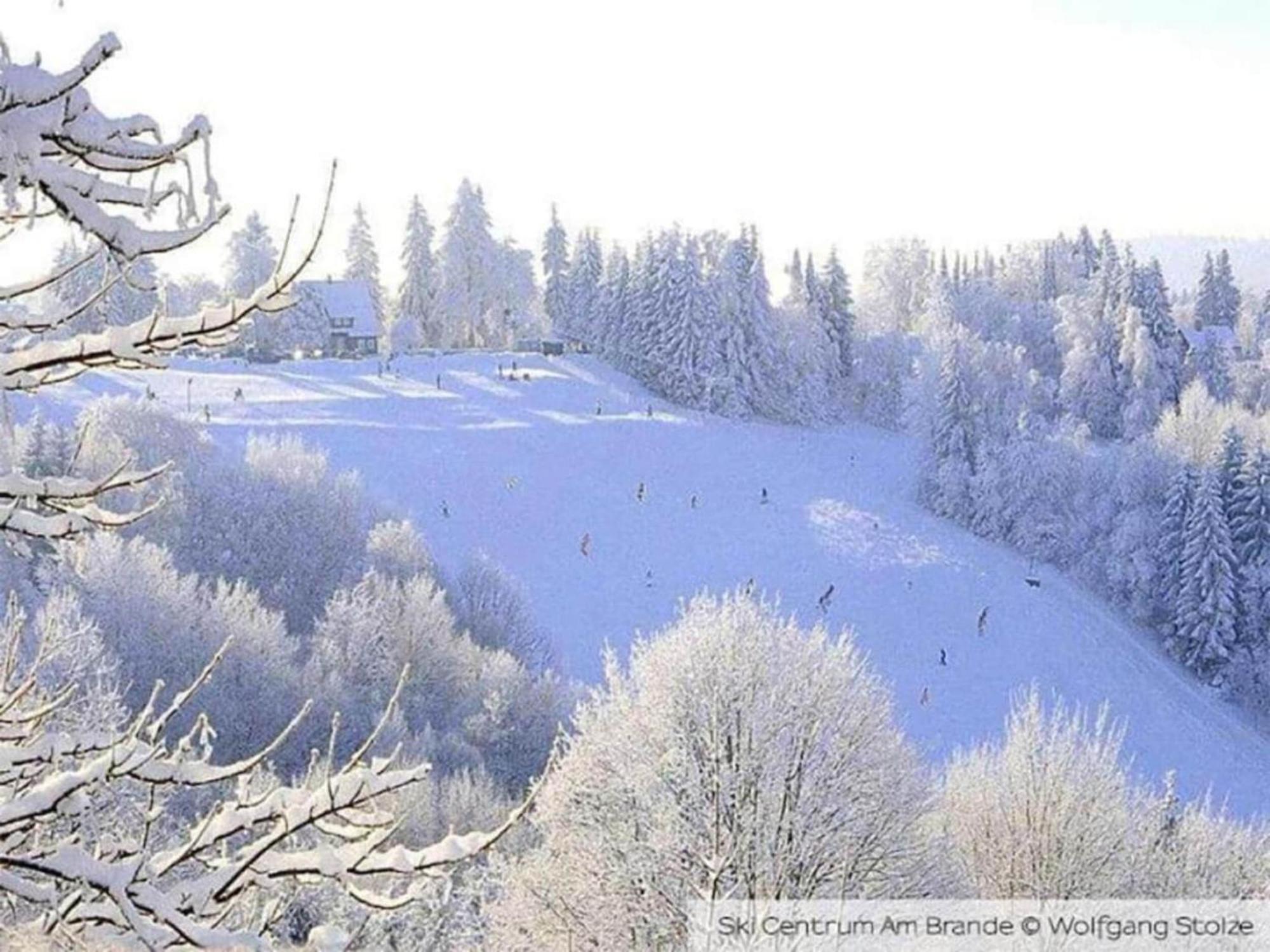 Cozy Apartment In Braunlage Near Forest Hohegeiß Buitenkant foto
