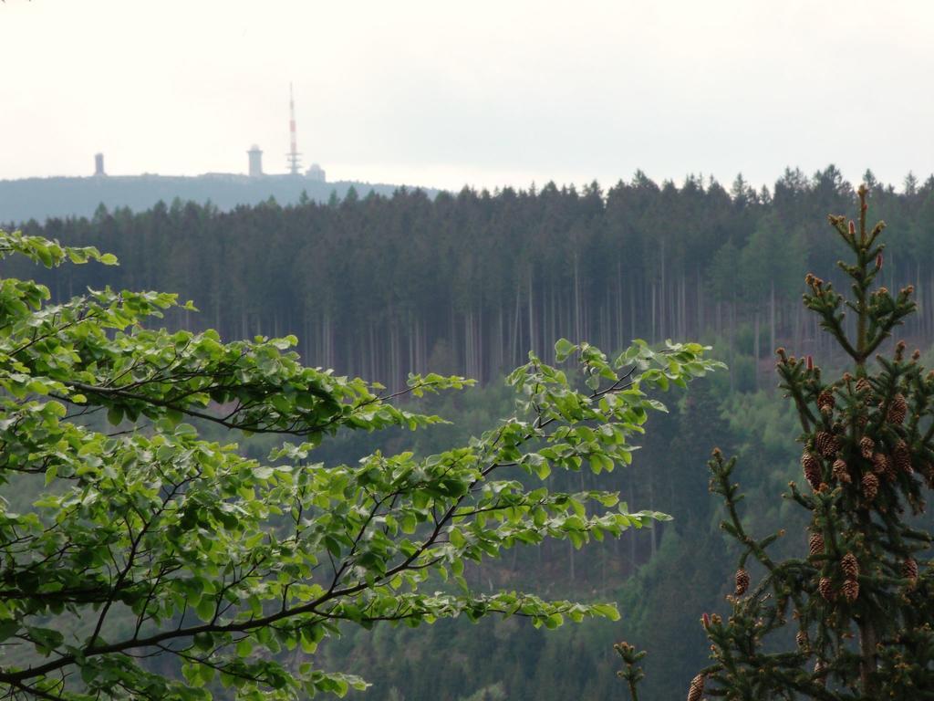 Cozy Apartment In Braunlage Near Forest Hohegeiß Buitenkant foto